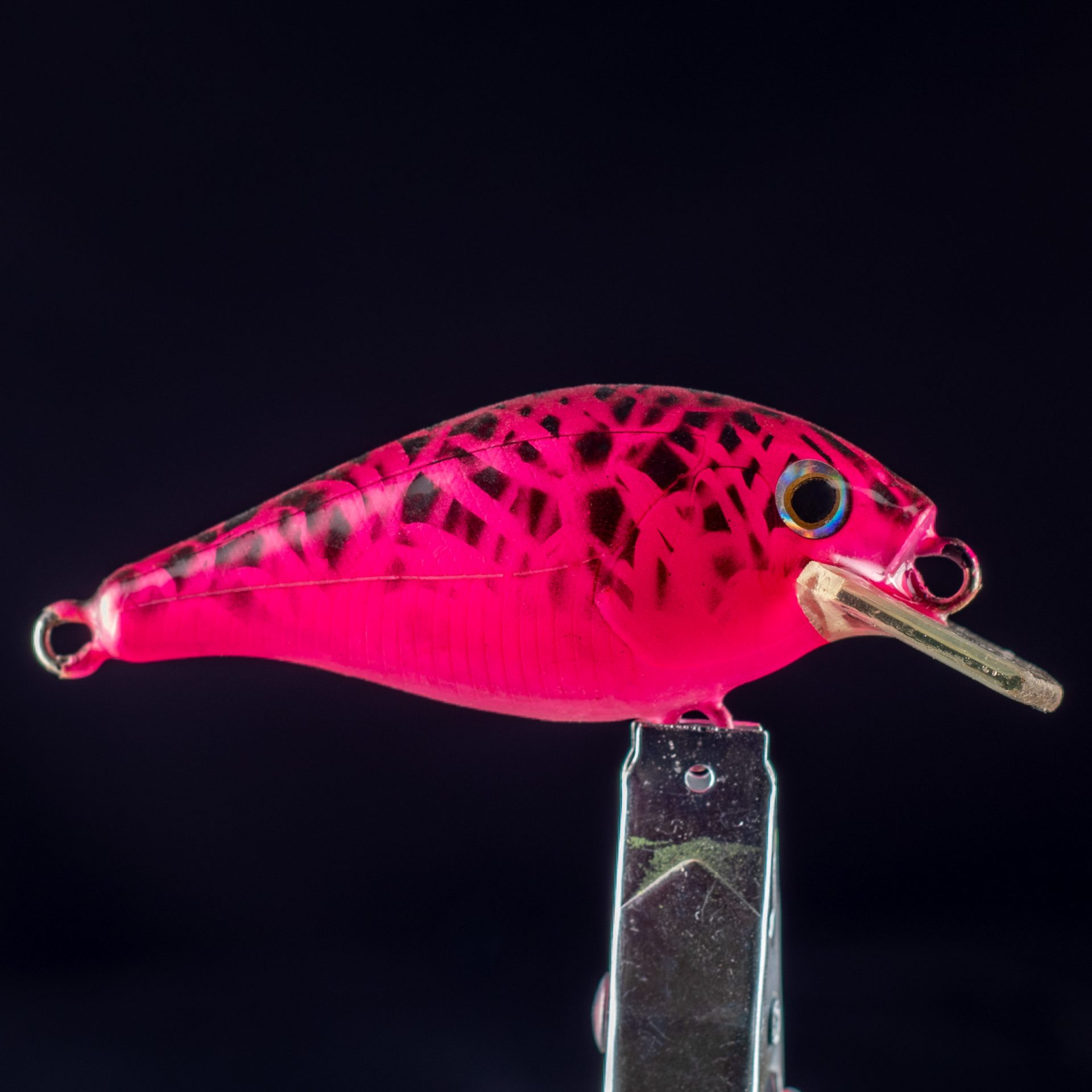 CRANKBAIT