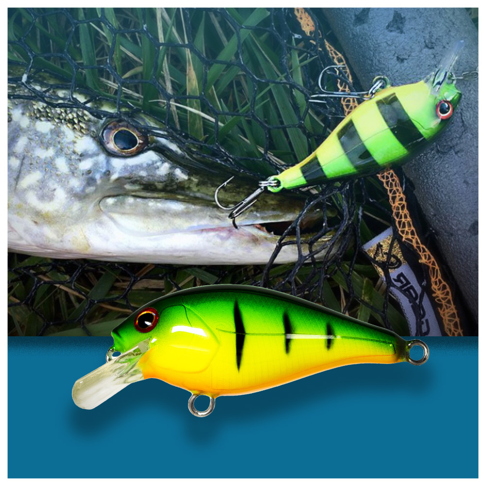 BOUTON CRANKBAIT